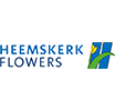 Heemskerkflower-maatjesopmaat